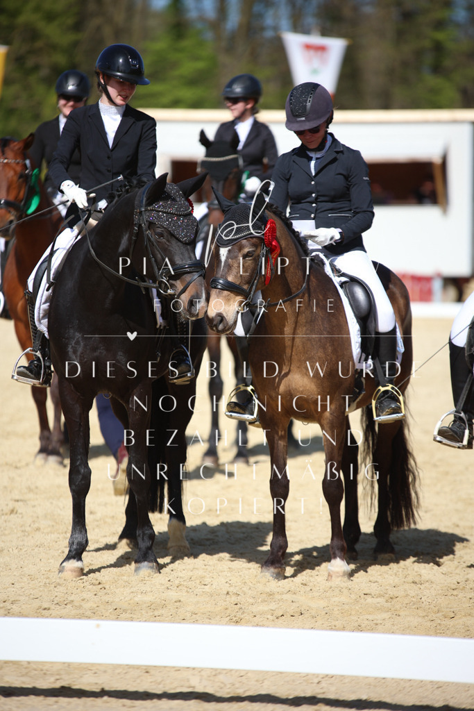 IMGT2384 | pl-fotografie