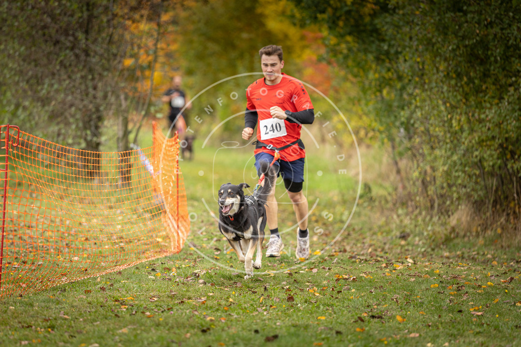 Pfotenfotografie_DV3A4230 | Hundefotografie, Tierfotograf, Pfotenfotografie, Fotoshooting Hund, Hunde Portrait, Hundesport, Hundeportraits, Heideshooting, Hunde, Sportfotograf, Hundefotograf, Turnierhundsport, THS,  - Realisiert mit Pictrs.com