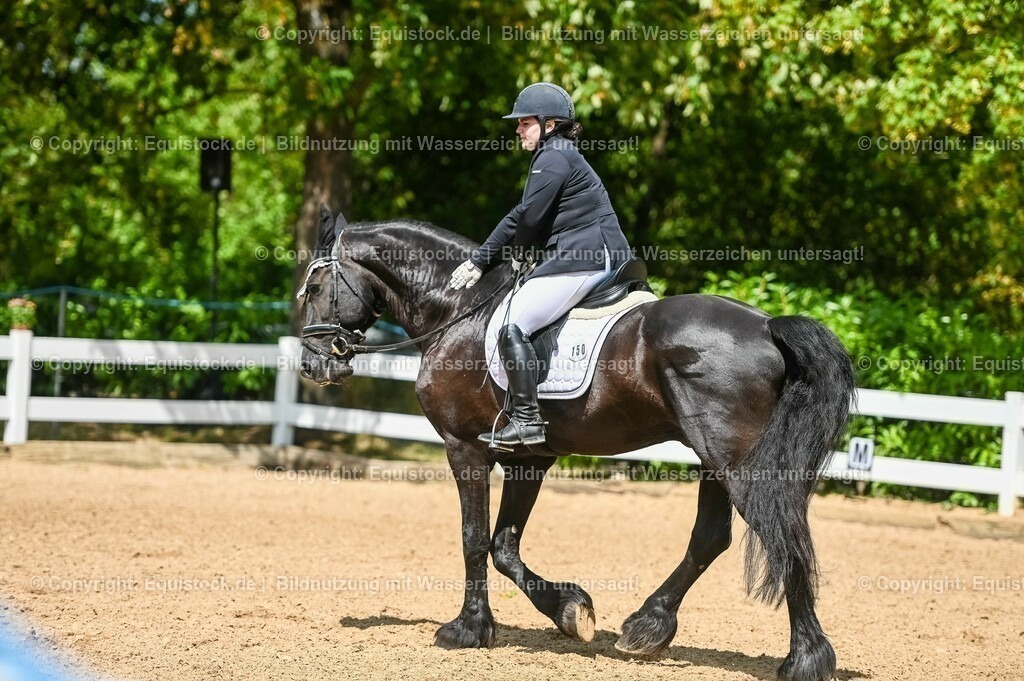 20230715_02_Dressurreiterprüfung Kl.L_0190 | equistock
