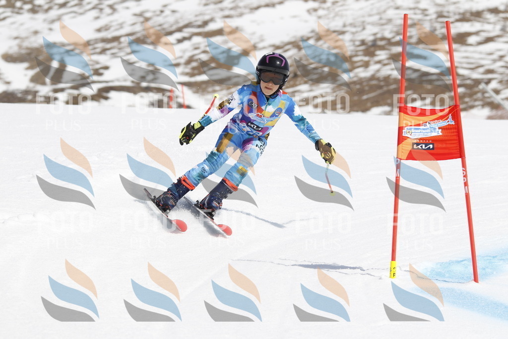 _U3G1661 | holidayphoto