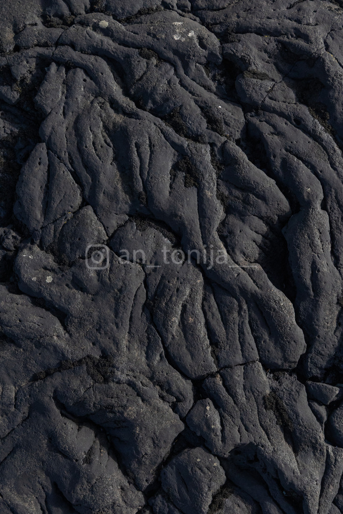 JB3A3120 | antonija-trupina - Realisiert mit Pictrs.com