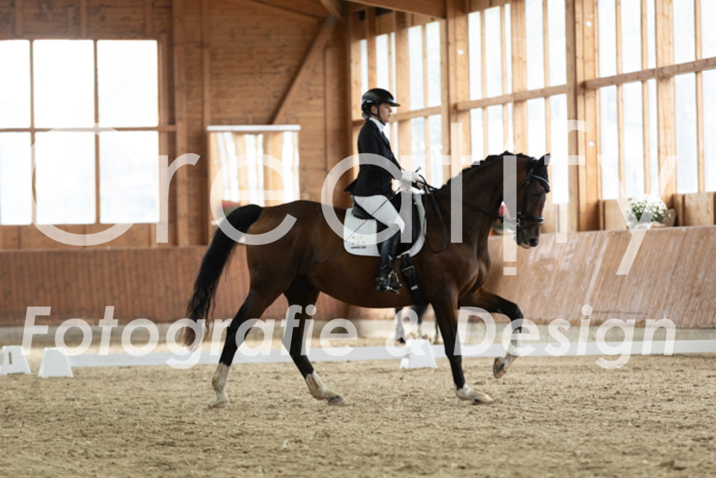 IMG_2651 | Creatify Fotografie