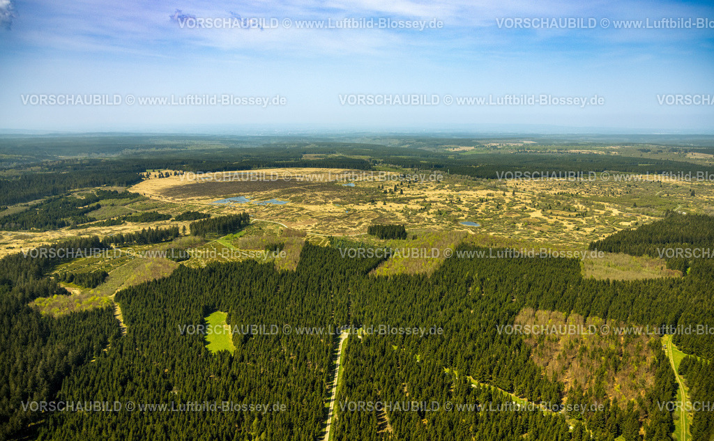 Monschau240502320HohesVenn | Luftbild, Hohes Venn Naturpark Eifel, Hochfläche bei Mützenich Landschaftsschutzgebiet, Vennhochfläche Wiesen und Felder Moorheidekomplex, Grenzgebiet Deutschland-Belgien, Mützenich, Monschau, Nordrhein-Westfalen, Deutschland