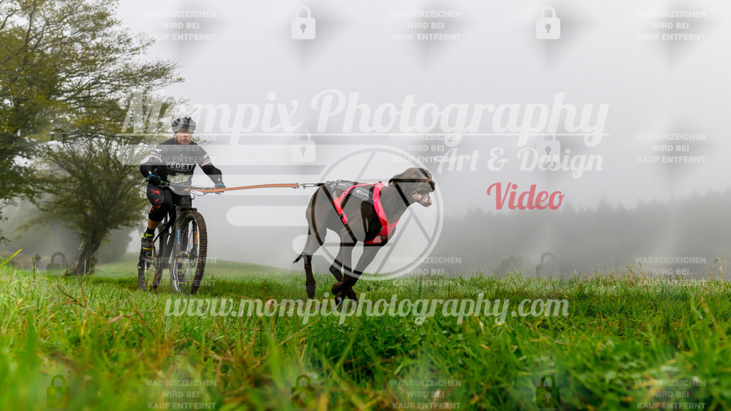 MompixPhotography_20TSB_E5_Bike-86 | PayLife