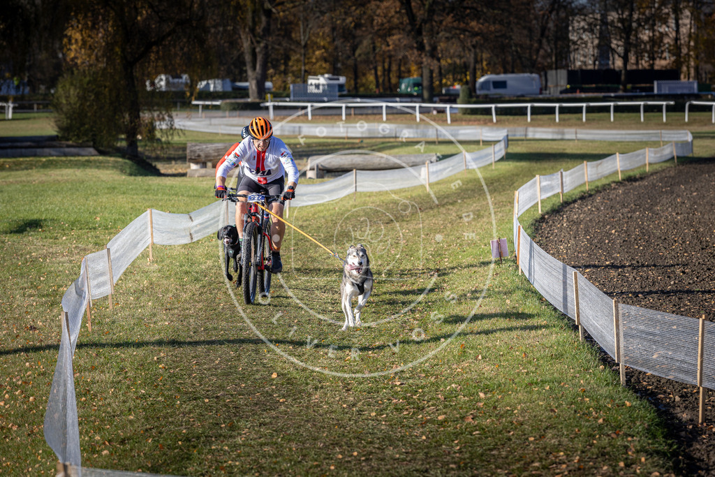 CaniXpix_DV3A3724 | Hundefotografie, Tierfotograf, Pfotenfotografie, Fotoshooting Hund, Hunde Portrait, Hundesport, Hundeportraits, Heideshooting, Hunde, Sportfotograf, Hundefotograf, Turnierhundsport, THS,  - Realisiert mit Pictrs.com