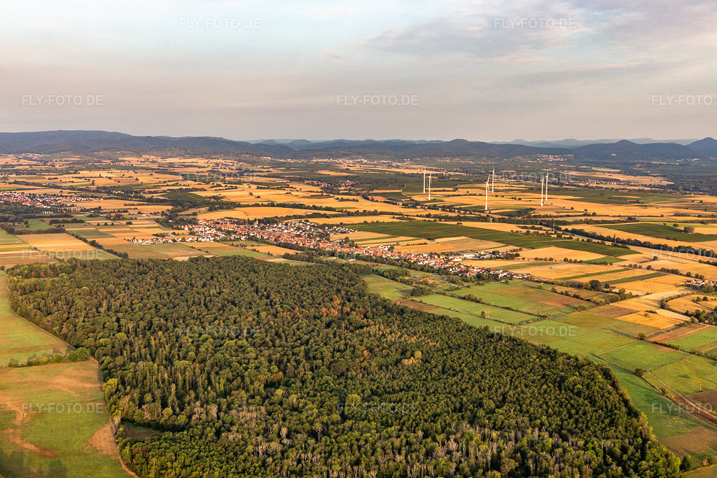 Luftbild: Bienwald und Viehstrich in Freckenfeld im Bundesland Rheinland-Pfalz in Deutschland. Foto: IMG_008737.jpg vom 20.09.2020 durch Werner Riehm/FLY-FOTO.de