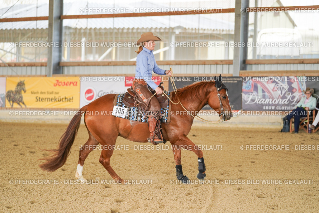 DSC02574 | Pferdegrafie