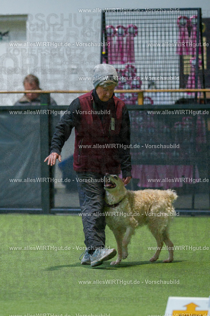 7R507987 | Professionelle Tierfotografie in Mönchengladbach von Daniel Wirth (allesWIRTHgut). Liebevolle & natürliche Bilder von Hunden & Katzen für unvergessliche Erinnerungen.