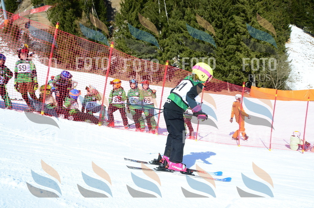 C5058 | holidayphoto