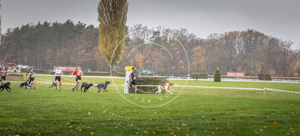 CaniXpix_DV3A8721 | Hundefotografie, Tierfotograf, Pfotenfotografie, Fotoshooting Hund, Hunde Portrait, Hundesport, Hundeportraits, Heideshooting, Hunde, Sportfotograf, Hundefotograf, Turnierhundsport, THS,  - Realisiert mit Pictrs.com
