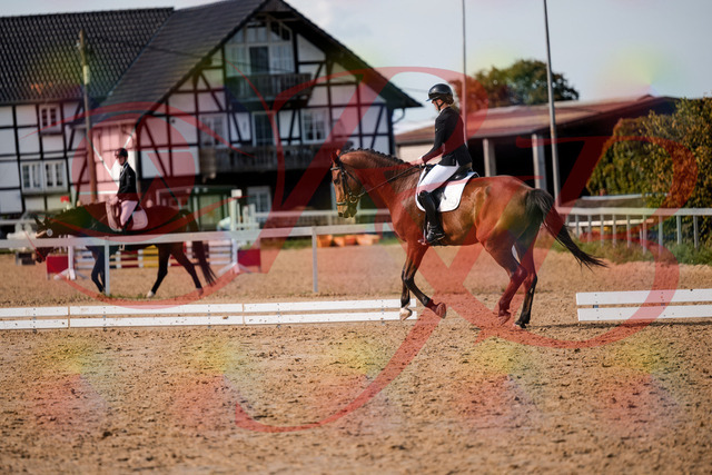 2026_10_03_Siefer-Hof_131042_Z63_73829638 | Professionelle Reitsport-, Turnier- und Eventfotografie von Robert Broda. Galerien mit ausgewählten und bearbeiteten Bildern direkt online ansehen und bestellen.