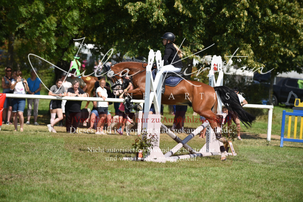 DSC_0003 | Pferde- und Turnierfotografie in Westsachsen. Pferdeportraits, Auftragszeichnungen und intuitive Kunst.
