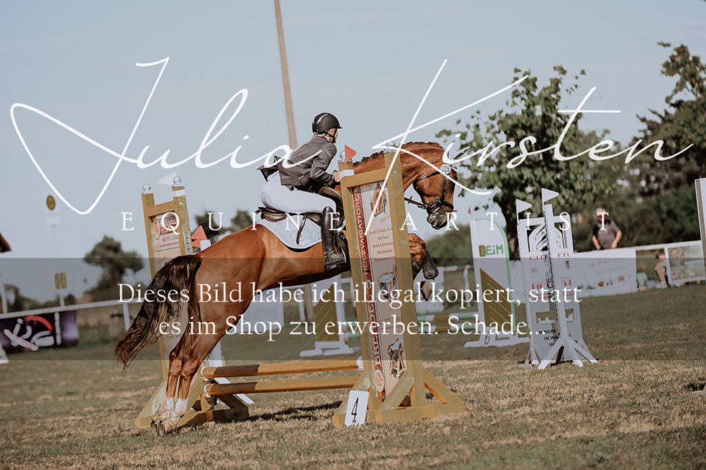 DSC_9282 | Pferde- und Turnierfotografie in Westsachsen. Pferdeportraits, Auftragszeichnungen und intuitive Kunst.
