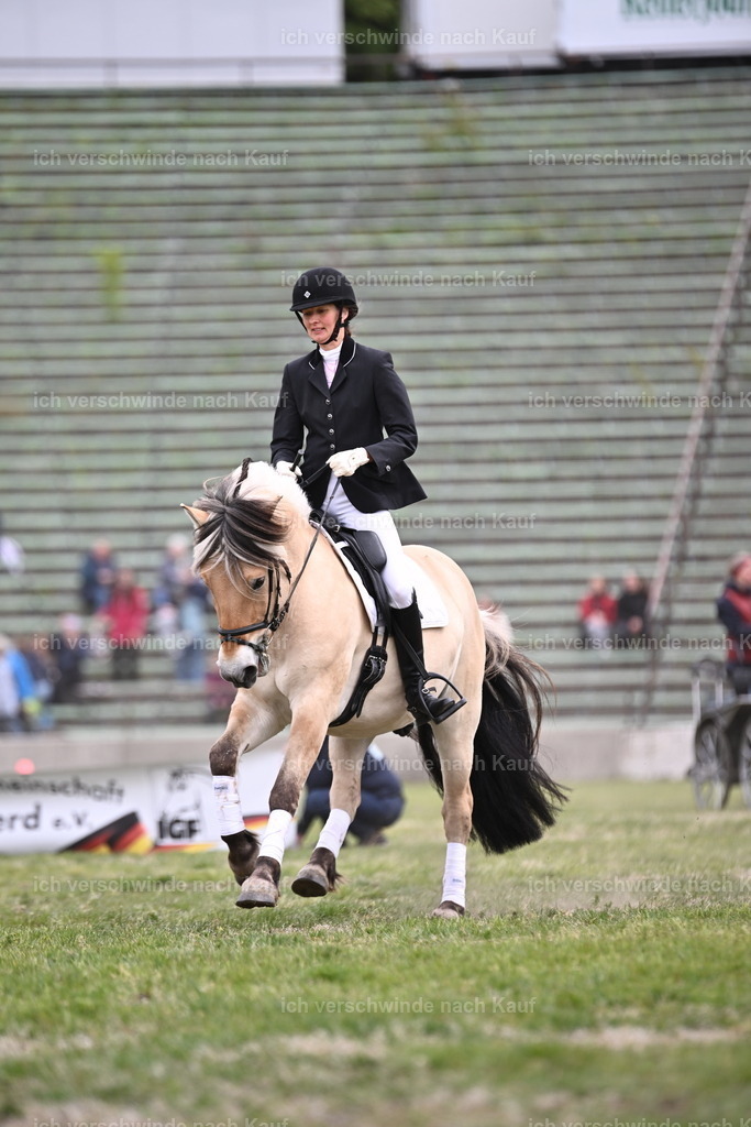 PI26_Show_Sara_Landvogt_226_0853.JPG | working equitationturnier fotograf videograf stoibphotography marixx film working equitation deutschland reitsport turnierfotografie eventfotografie equestrian events