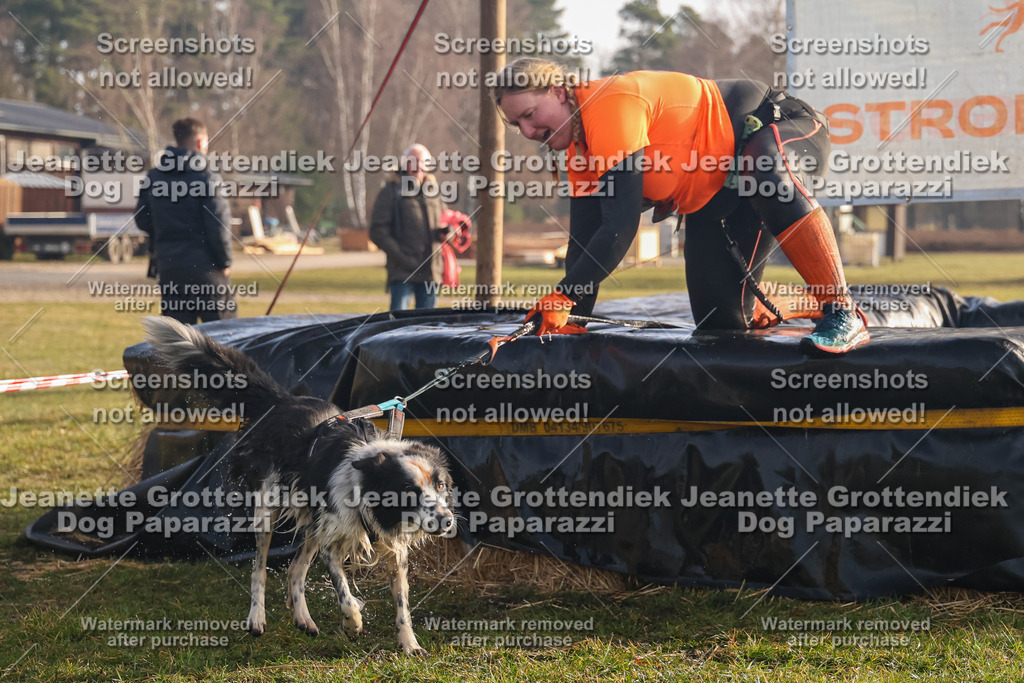 Dog Paparazzi - SD North 0326 900930-296 | Dog Paparazzi Jeanette Grottendiek Fotografie & Videografie - Realisiert mit Pictrs.com