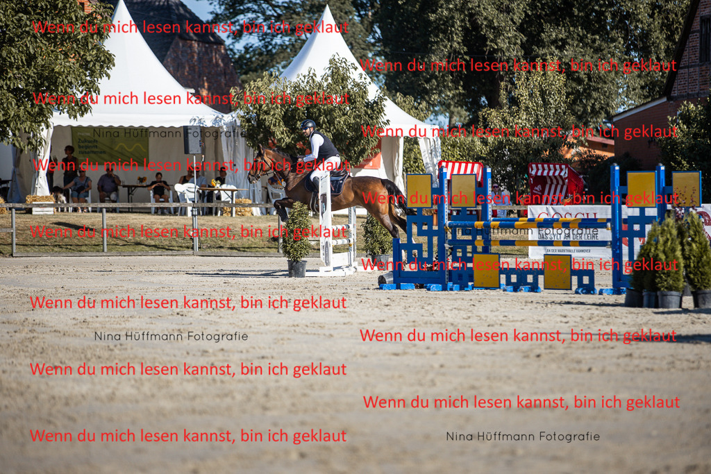 BK1A7456 | Turnierbilder Turnierfotos Nina Hüffmann Turnierfotografie Pferdefotografie Tierzeichnung Haustierzeichnung Pferdezeichnung Hundezeichnung Videograf  - Realisiert mit Pictrs.com