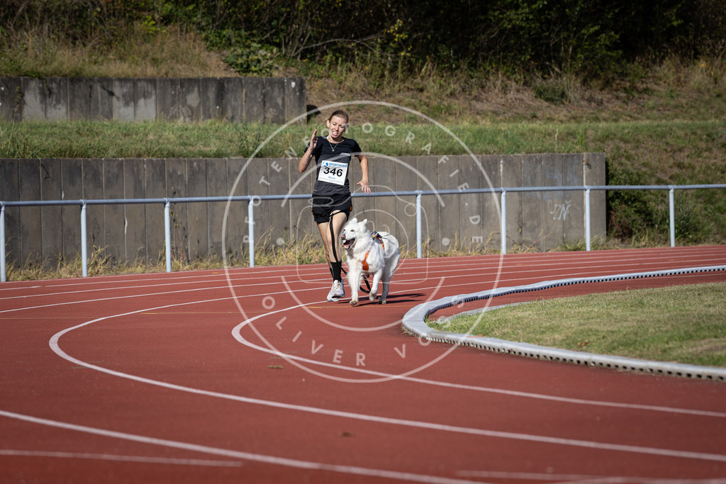 Pfotenfotografie_DV3A8808 | Hundefotografie, Tierfotograf, Pfotenfotografie, Fotoshooting Hund, Hunde Portrait, Hundesport, Hundeportraits, Heideshooting, Hunde, Sportfotograf, Hundefotograf, Turnierhundsport, THS,  - Realisiert mit Pictrs.com