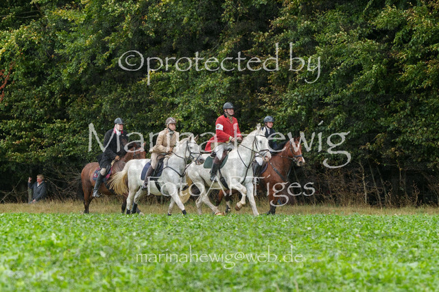 Jagd Perdoel_MarinaHewigMCH03969 | Fotografie, FotoArt, PferdesportArt, Pferdesportfotografie, Landschaftsfotografie, Reisefotografie, Reise, Pferde - Realisiert mit Pictrs.com