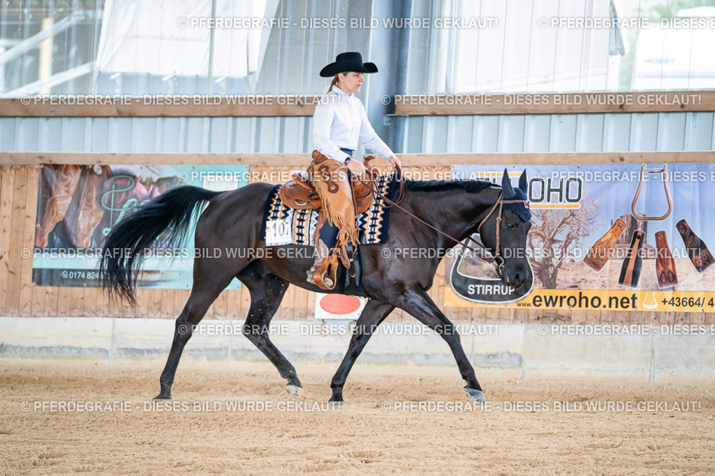 DSC08279 | Pferdegrafie