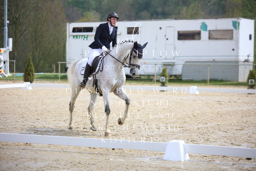 IMGT3318 | pl-fotografie