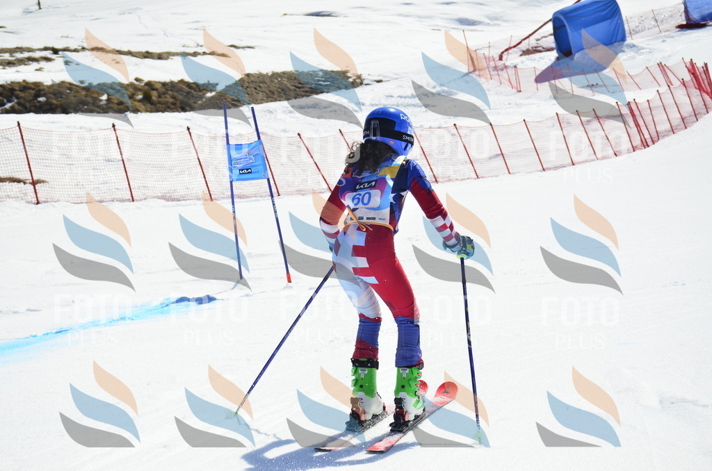 _ELE0233 | holidayphoto