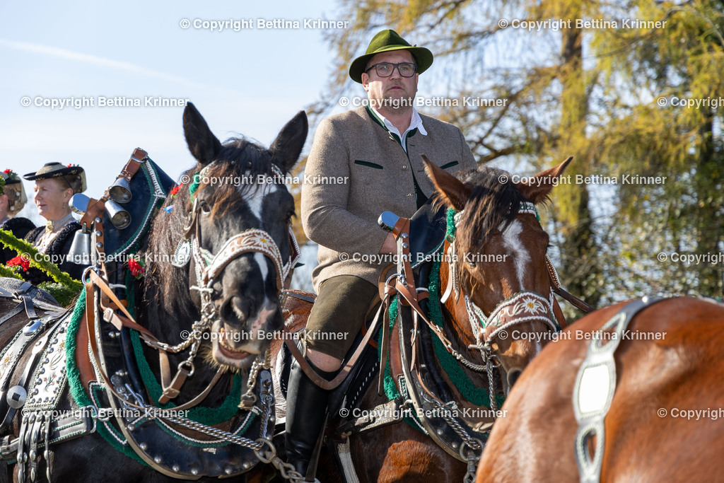 LBT24-1308 | foto-bettina-krinner - Realisiert mit Pictrs.com