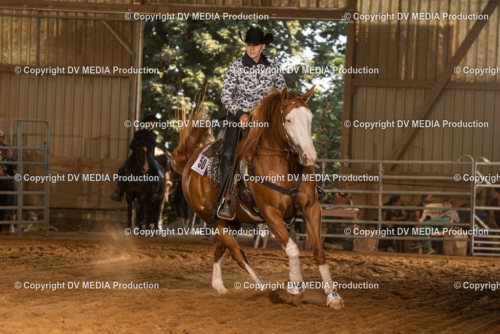 NID03852 | dv-media-shop - Realisiert mit Pictrs.com