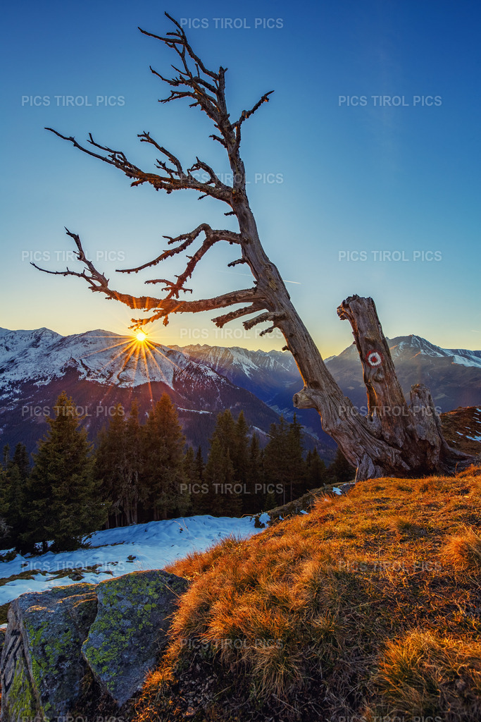 IMG_2906-HDR-Bearbeitet | Tirolpics