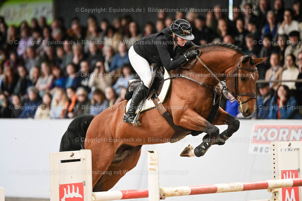 20260307_Hengstvorstellung-Marbach_0050 | equistock
