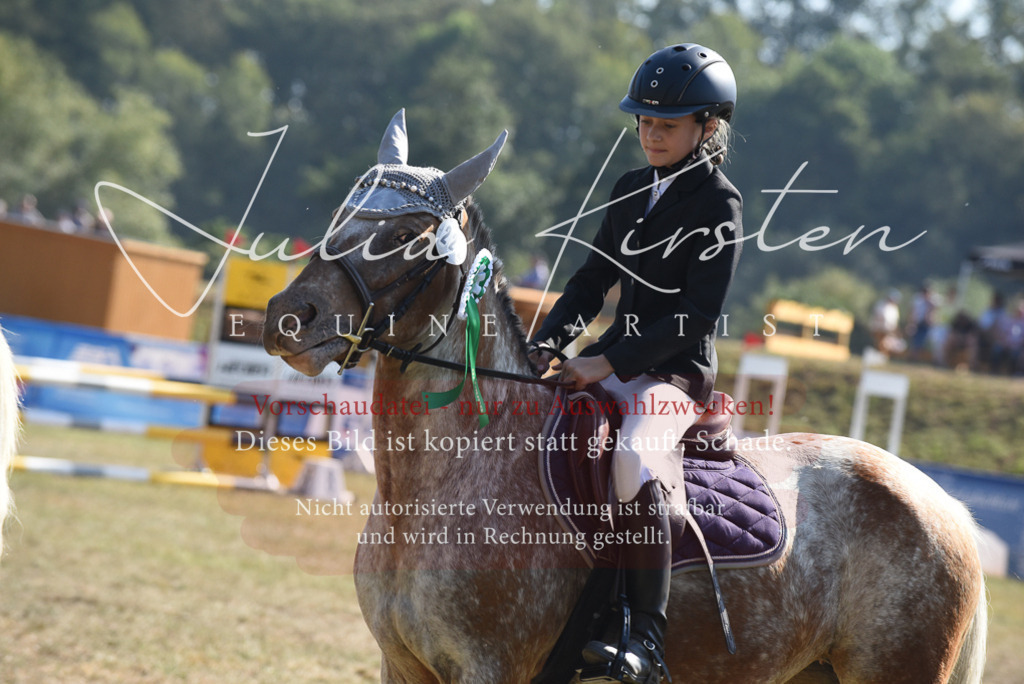 DSC_6181 | Pferde- und Turnierfotografie in Westsachsen. Pferdeportraits, Auftragszeichnungen und intuitive Kunst.