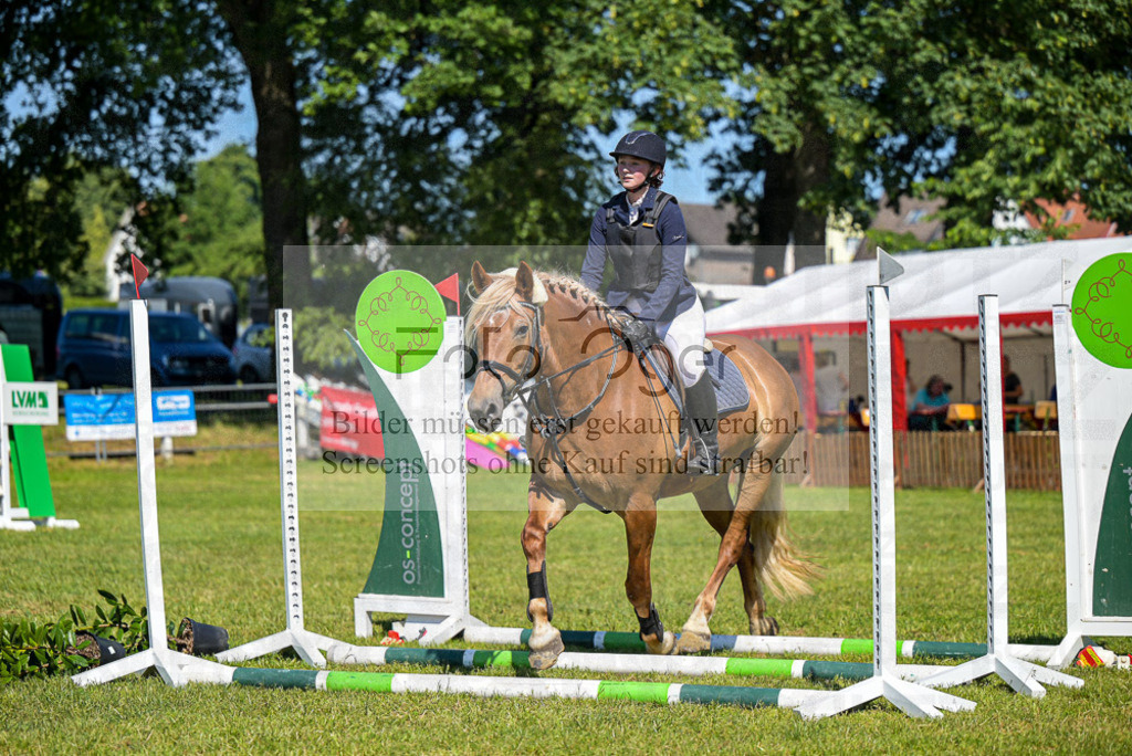 Reitturnier Voxtrup | Entdecke hochwertige Reitturnierfotos von Foto Oger. Professionell, emotional und authentisch – jetzt Lieblingsmomente im Shop bestellen.Deutschlandweite Turnierfotografie. - Realisiert mit Pictrs.com
