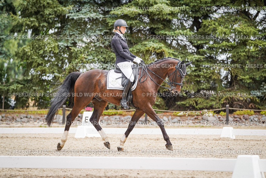 DSC03771 | Pferdegrafie