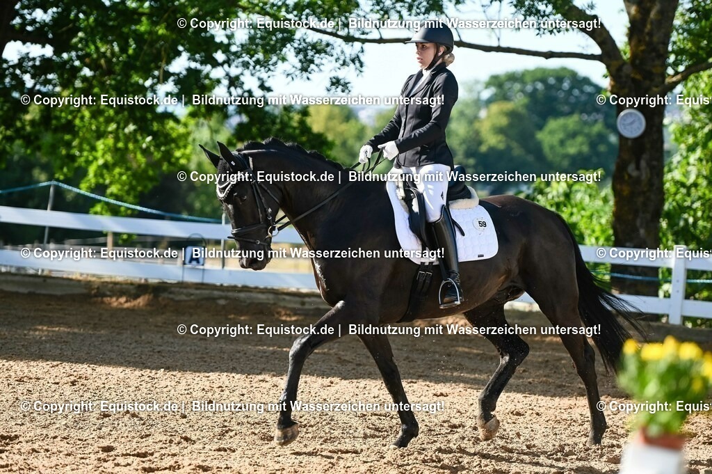 20230715_06_Dressurpferdeprfg. Kl.A_0087 | equistock