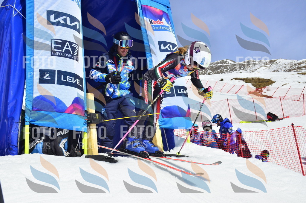 _ELE1156 | holidayphoto