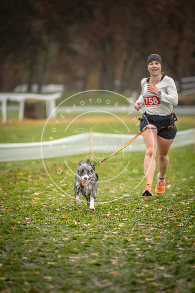CaniXpix_DV3A9538 | Hundefotografie, Tierfotograf, Pfotenfotografie, Fotoshooting Hund, Hunde Portrait, Hundesport, Hundeportraits, Heideshooting, Hunde, Sportfotograf, Hundefotograf, Turnierhundsport, THS,  - Realisiert mit Pictrs.com
