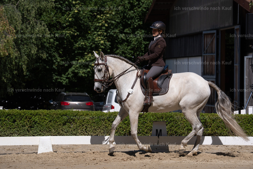 WL_DR_70_sinafilmart_IN07326 | working equitationturnier fotograf videograf stoibphotography marixx film working equitation deutschland reitsport turnierfotografie eventfotografie equestrian events