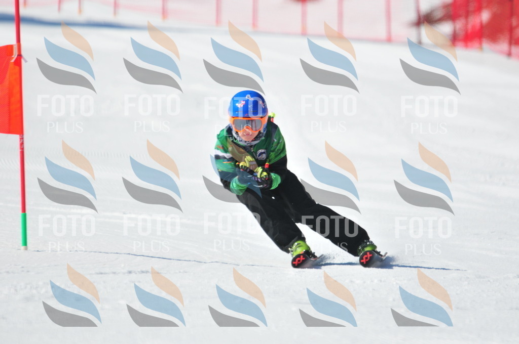 C3199 | holidayphoto