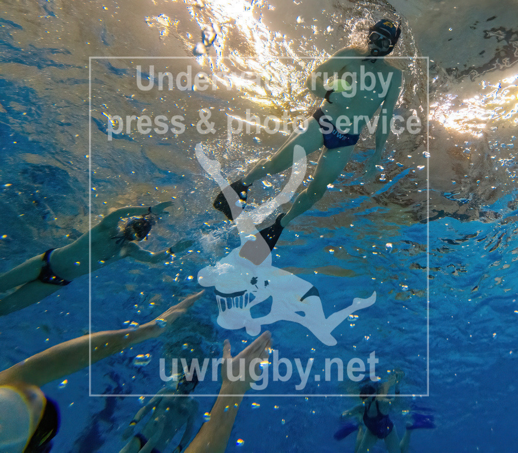 Traingsbilder des Tauchclub Bamberg e.v. im Hallenbad Bamberg | Trainingsimpressionen vom Training am 05. Dezember 2022 im Bambados Bamberg, während des regulären Unterwasserrugby Trainings des Tauchclub Bamberg e.V. - Realisiert mit Pictrs.com