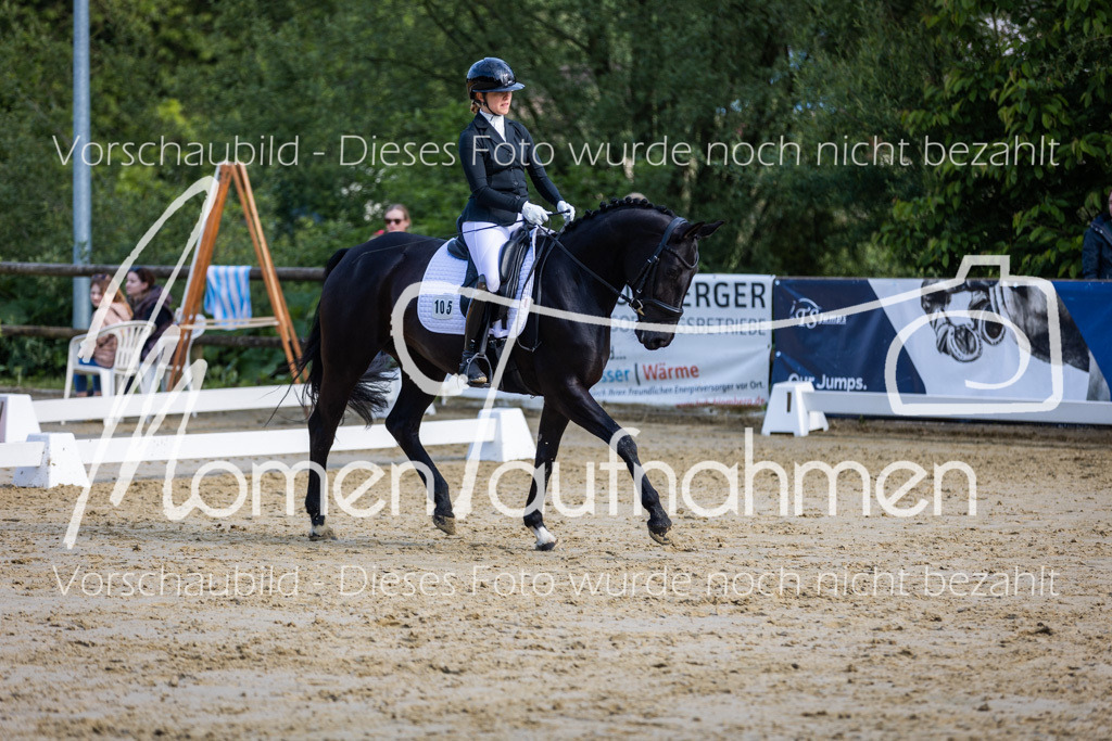 Donop24-A-Dre-105 | MomenTaufnahmen Pferdesportfotos