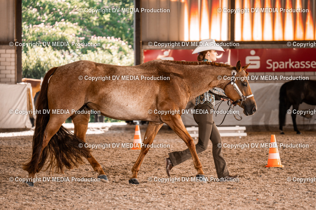 ZH100194 | dv-media-shop - Realisiert mit Pictrs.com