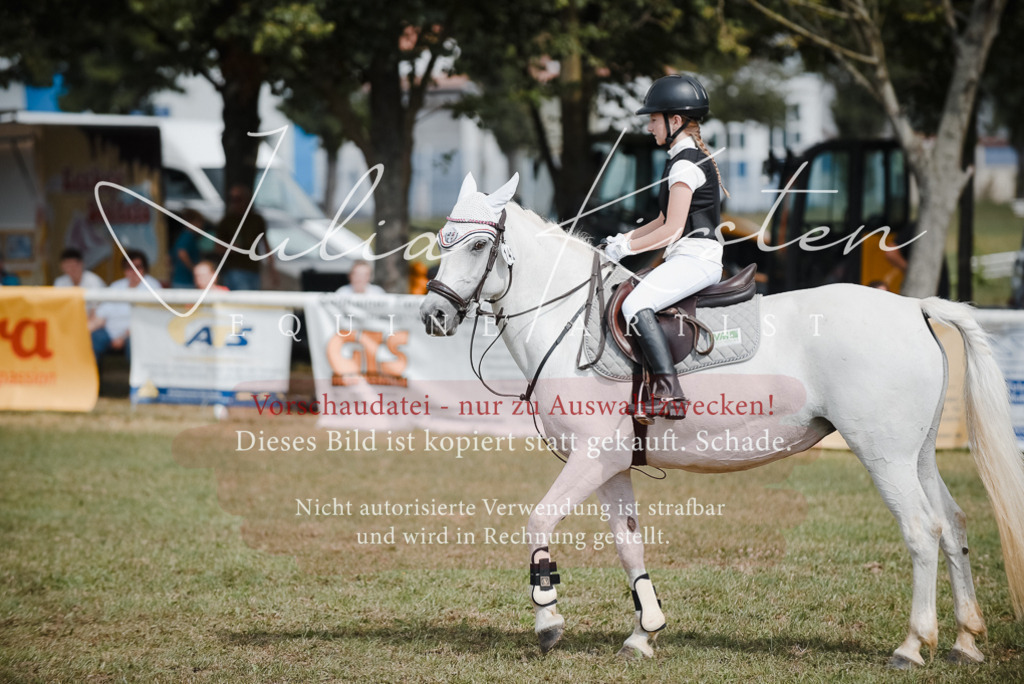 DSC_5527 | Pferde- und Turnierfotografie in Westsachsen. Pferdeportraits, Auftragszeichnungen und intuitive Kunst.