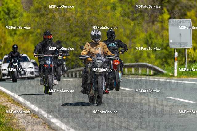 MSFotoServiceXXX79 | MSFotoService - Realisiert mit Pictrs.com
