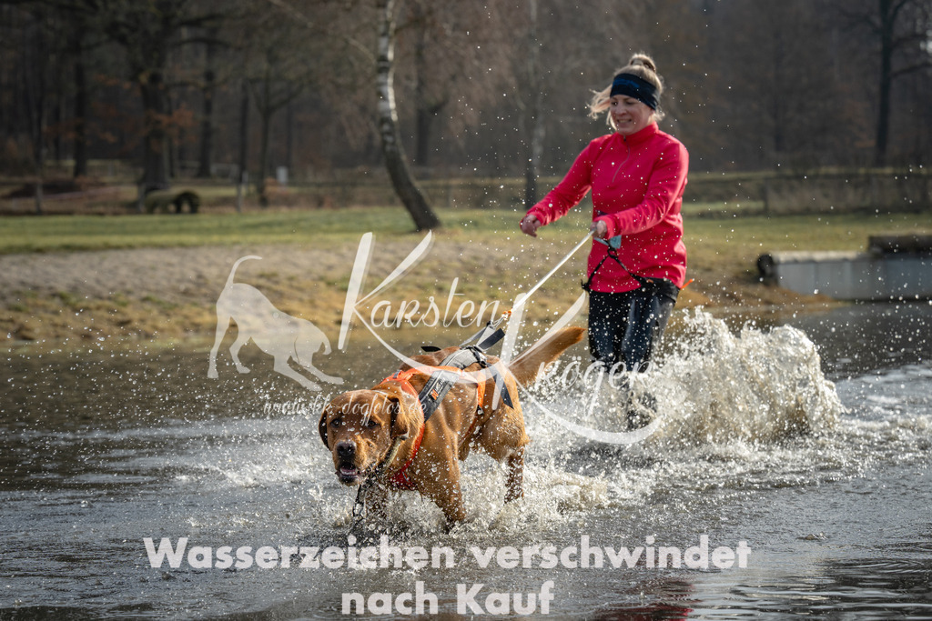 0947_ZZ93761 | kk-dogfotos