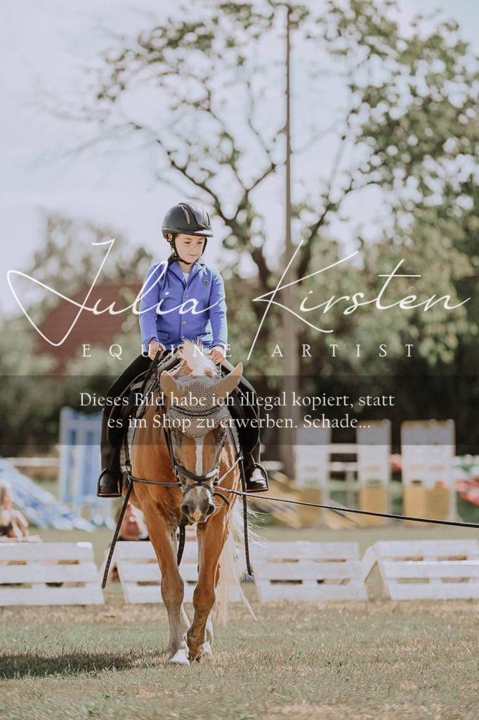 DSC_7504 | Pferde- und Turnierfotografie in Westsachsen. Pferdeportraits, Auftragszeichnungen und intuitive Kunst.