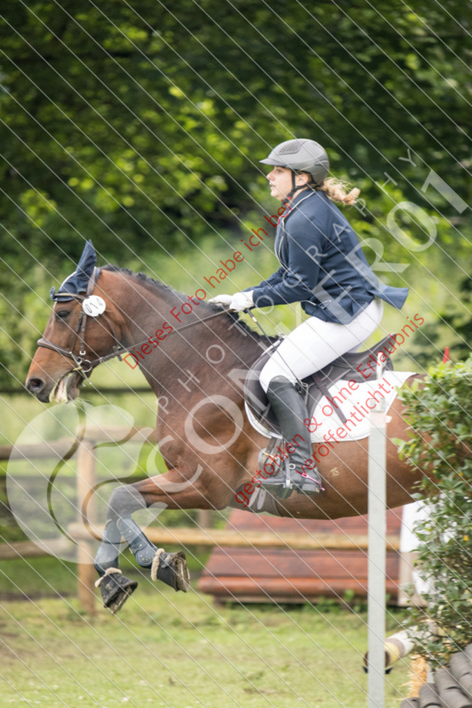 IMG_2678 | Sport-, Event- und Tierfotos in Profiqualität. Einfach auswählen, bestellen und herunterladen. Dein Moment – perfekt festgehalten.
