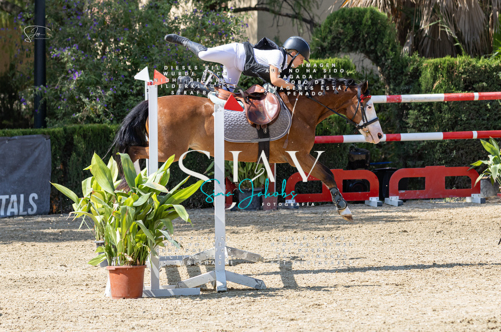 IMG_9944 | s-jay-photography - Realisiert mit Pictrs.com