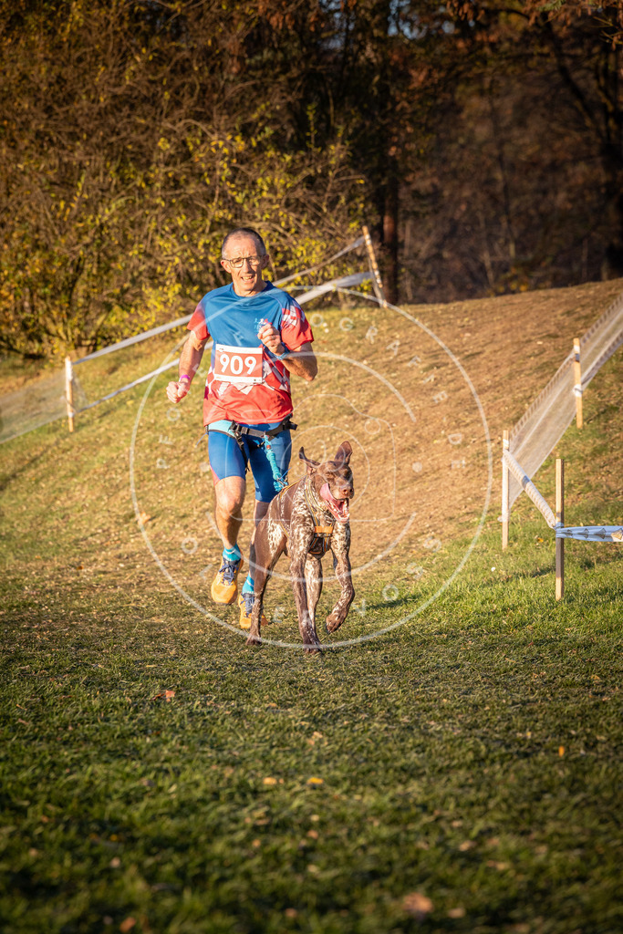 CaniXpix_0L8A1431 | Hundefotografie, Tierfotograf, Pfotenfotografie, Fotoshooting Hund, Hunde Portrait, Hundesport, Hundeportraits, Heideshooting, Hunde, Sportfotograf, Hundefotograf, Turnierhundsport, THS,  - Realisiert mit Pictrs.com