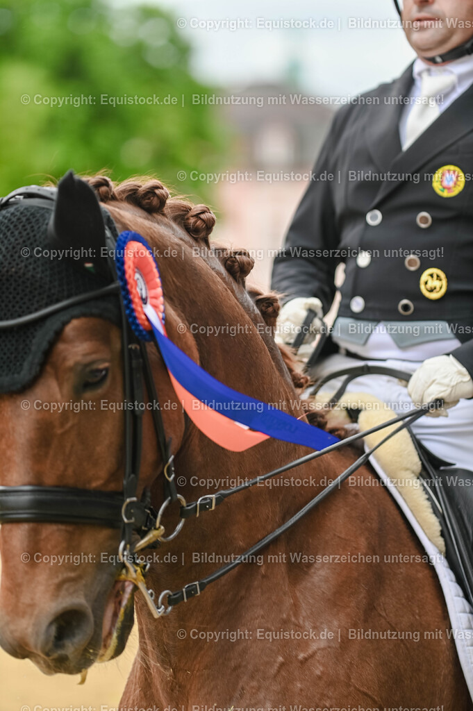 20250607_1_GP-Tour_Dressage_0482 | Foto: Thomas Hartig