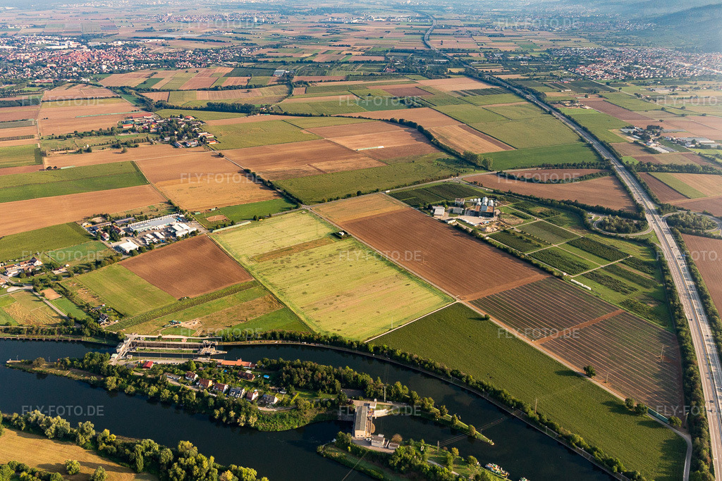 Luftbild: Neckarschleuse Dossenheim in Dossenheim im Bundesland Baden-Württemberg in Deutschland. Foto: IMG_117048.jpg vom 25.08.2019 durch Werner Riehm/FLY-FOTO.de