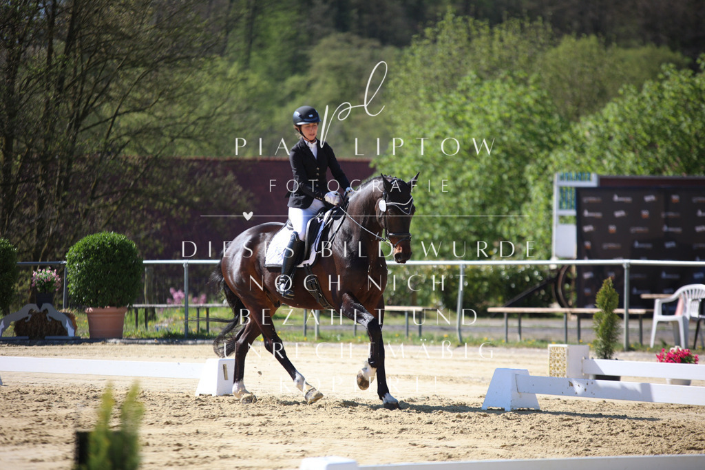 IMGT9571 | pl-fotografie